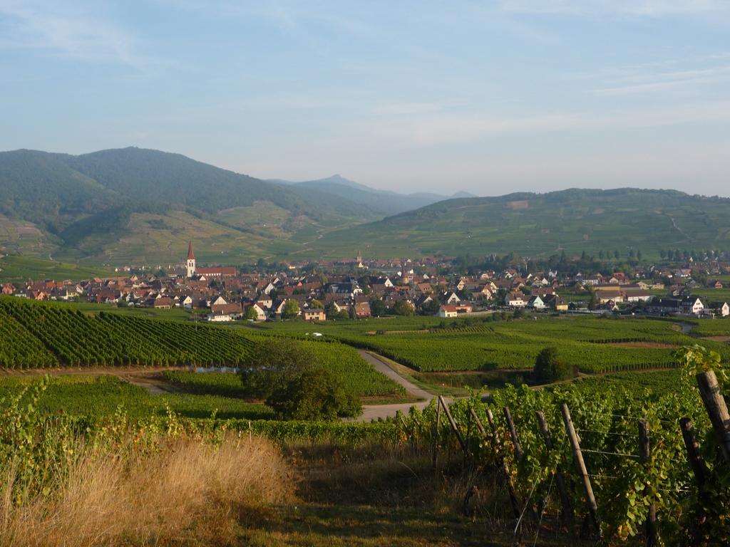Ferienhaus Sonnenberg Ammerschwihr